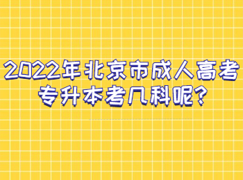 北京市成人高考专升本