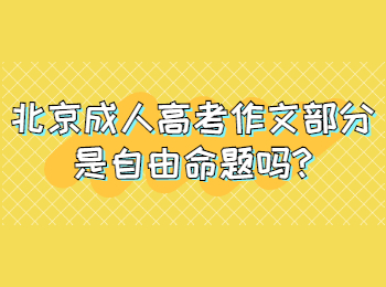 北京成人高考作文部分是自由命题吗