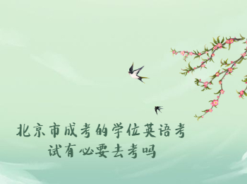 北京市成考学位英语考试