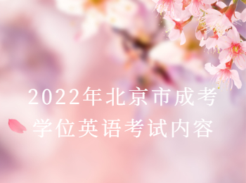 北京市成考学位英语考试内容