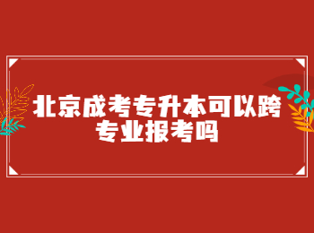 北京成考 北京成考专升本 