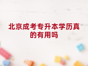 北京成考专升本学历