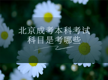 北京成考本科考试科目