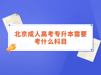 北京成人高考专升本