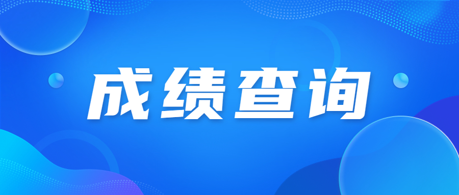 北京成人高考成绩用身份证能查到吗?